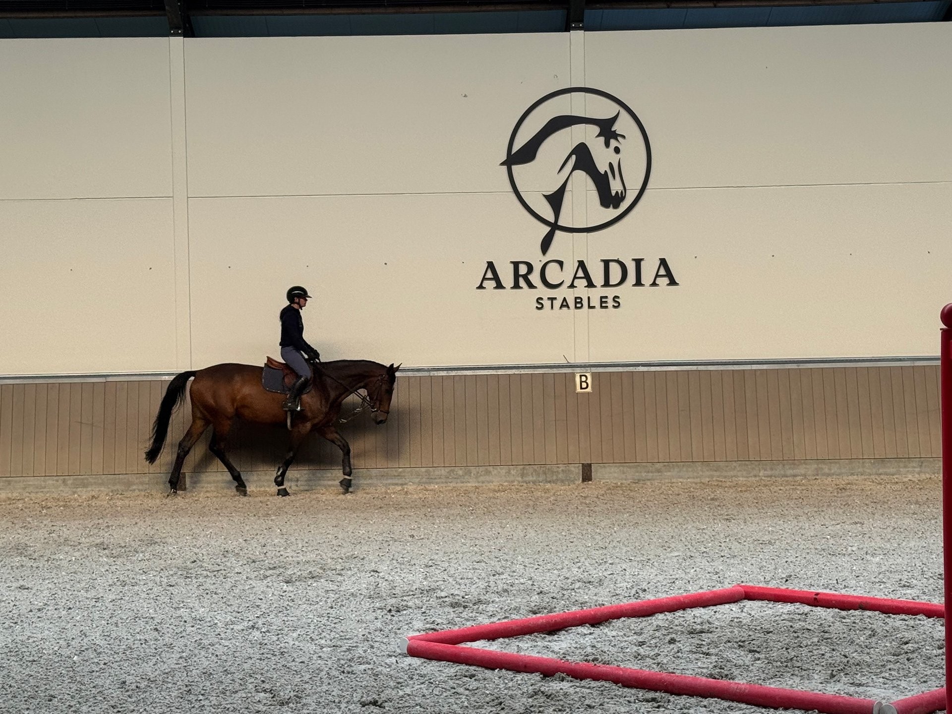 Arcadia stables 5